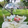 5 Pcs Bobo Balloons, Clear Balloons to Fill, 30 Inches