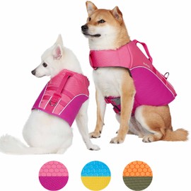 Blueberry Pet 2023 New Reflective Dog Life Jacket for Flotation, Pink and Fuchsia, Large, Fashion Pet Swimming Vest, Life Saver with Adjustable Strong Handle