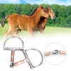 Stainless Steel Dee Bit Snaffle Horse Tool Accessories Mouth with