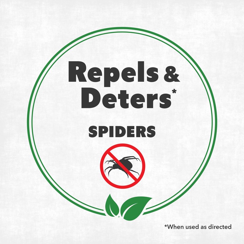 NatureStop Spider Repellent Spray for Patio - Outdoor Spider Control
