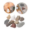 Gatuida 1set Rock and Mineral Collection Kit for Geology Classrooms