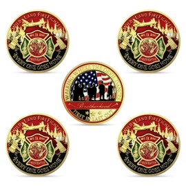 5 Pcs Wildland Firefighter Challenge Coin First in Last Out