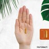 Organic Turmeric and Black Pepper Capsules | 2160mg | High