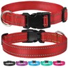 Reflective Dog Collar with Buckle Adjustable Safety Nylon Collars for