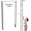 Growth Height Chart Kids Room Décor Reusable Decal (Bean Stalk)