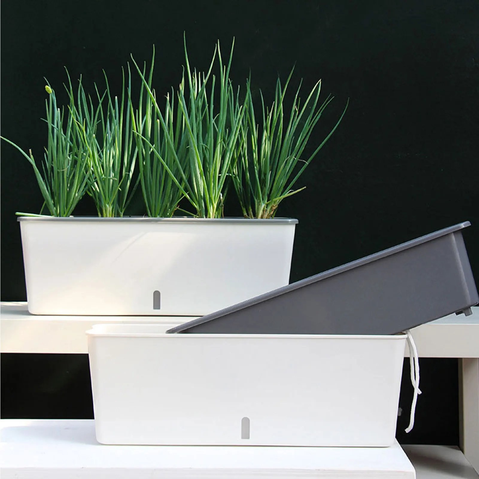 self watering planter