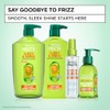 Garnier Hair Care Fructis Sleek & Shine Anti-Frizz Serum, 2