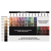 Colorista Paint Permanent Hair Colour - Copper Blonde (Pack of