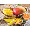 Mariani | Philippine Dried Mango | Healthy Snacks for Kids