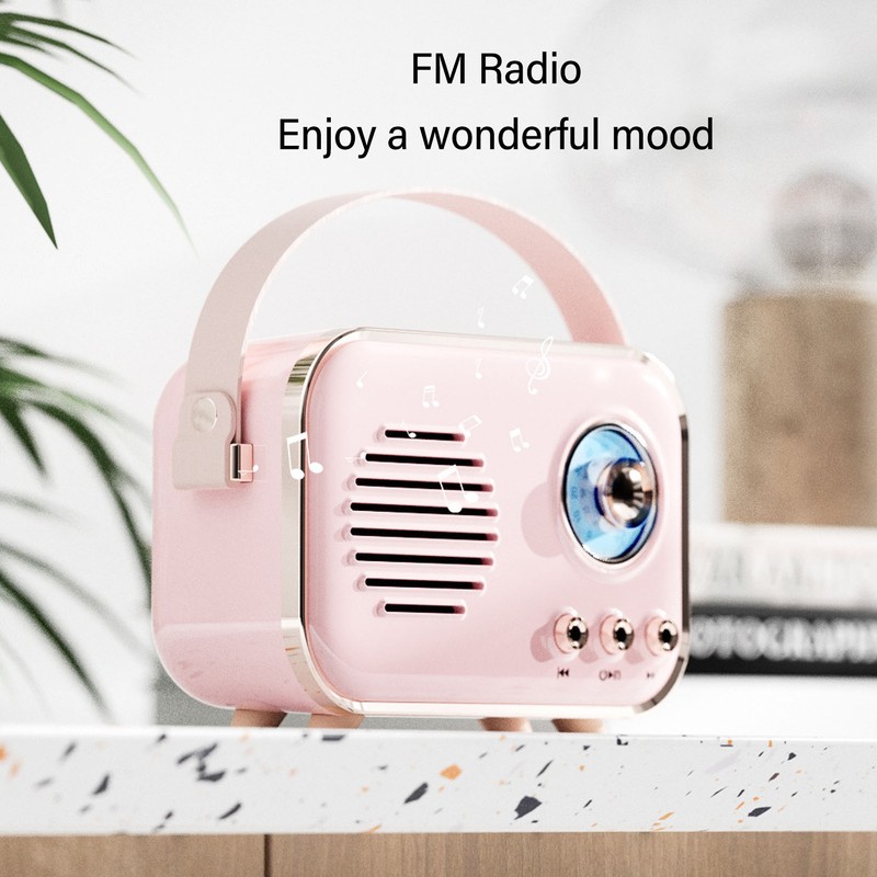 Speaker Karaoke Set Portable Multifunctional High Capacity Battery Small Wireless