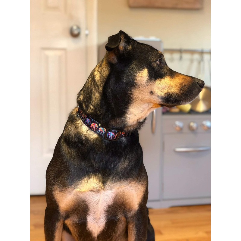 Native Pup Cute Animal Dog Collar (Elephant, Small)