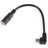 Hakeeta Microphone + Adapter Cable with 3.5mm Jack Camera Microphone