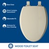 Mayfair Cassel Slow Close Toilet Seat, Easy Clean, Non Slip