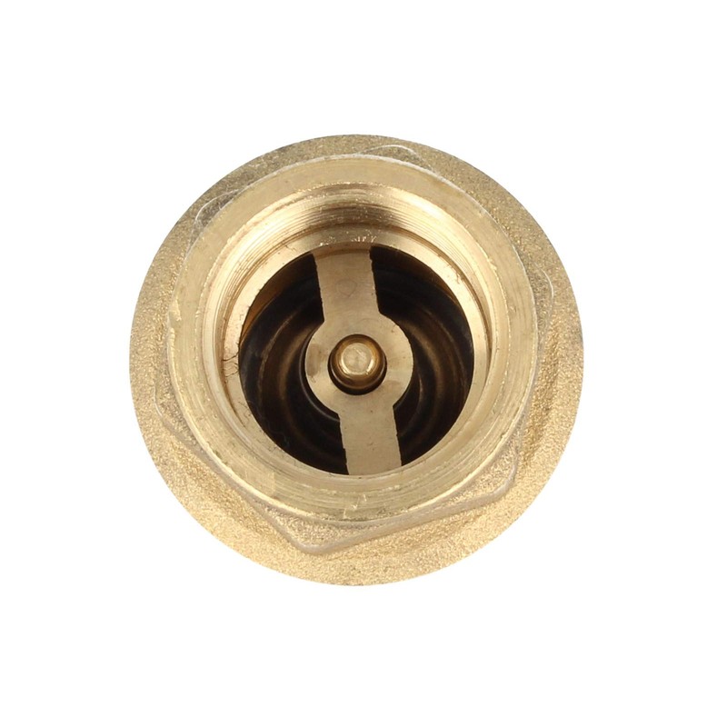 Check Valve"Europe