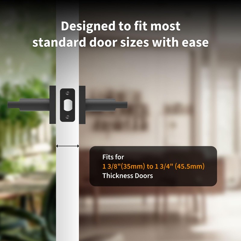 Aqara Entry Door Handle, Exterior Door Entry Handle with Door