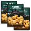 Jicama Seeds - Drought Resistant Mexican Turnip - Size: 2