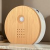 Birds Chirping Sound Box | Motion Sensor Modern Nature Sound