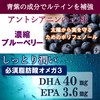 ルテイン 60日分 フリー体ルテイン 60mg 濃縮ブルーベリー 国内製造 サプリ