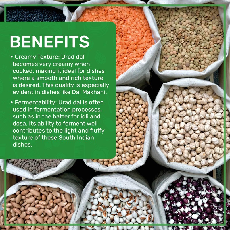 Jiva USDA Organics Urad Dal (Split Matpe Beans) 2 Pound