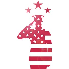 Large Vinyl Wall Decal Veterans Day USA Flag Soldier Patriotic Art Decor Stickers Mural (ig5374)