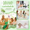 50 jabones hechos a mano para bodas, recuerdos de eucalipto