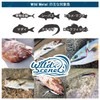 Wild Scene Metal Jigs, Throw Jigs, Set of 5, Assist