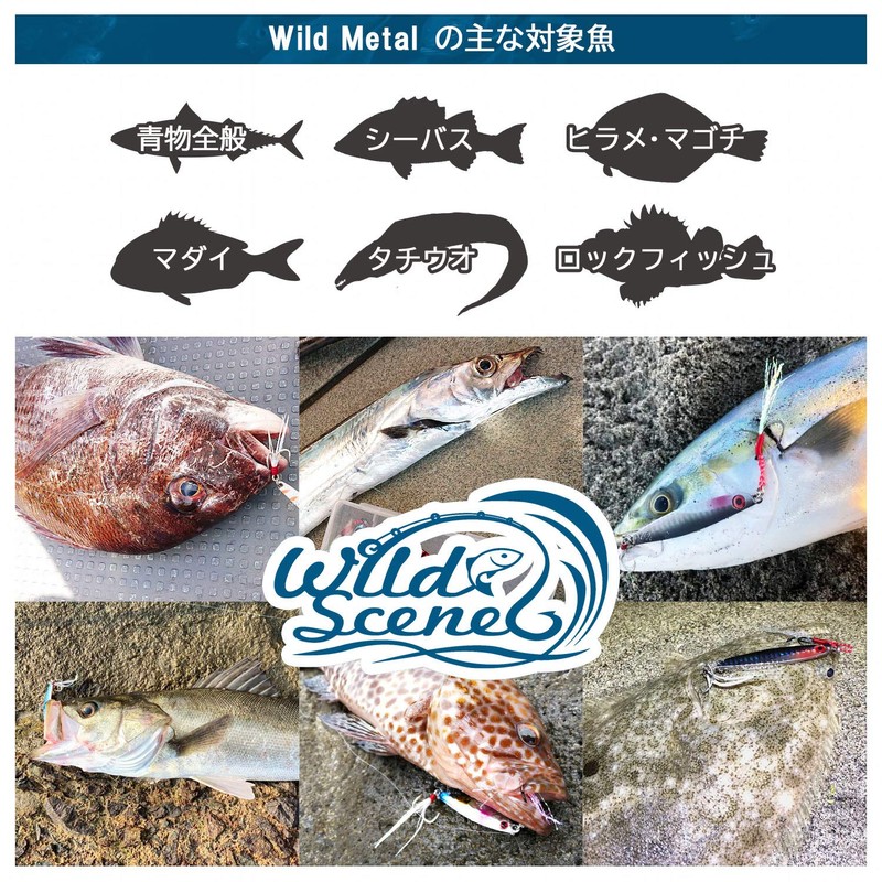 Wild Scene Metal Jigs, Throw Jigs, Set of 5, Assist