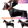 Roses&Poetry Dog Harness Large Breed, Adjustable No Pull Vest Harness