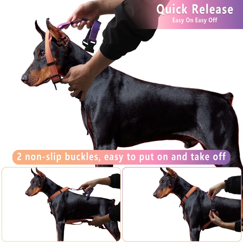 Roses&Poetry Dog Harness Large Breed, Adjustable No Pull Vest Harness