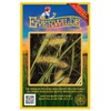 Everwilde Farms - 400 Sallow Sedge Native Grass Seeds -