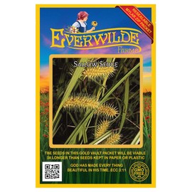 Everwilde Farms - 400 Sallow Sedge Native Grass Seeds - Gold Vault Jumbo Seed Packet
