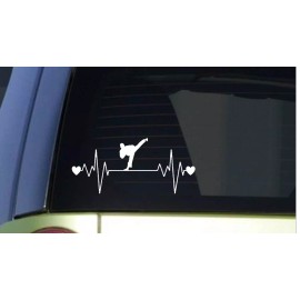 EZSTIK Karate Lifeline *I673* 8 inch Sticker decal black belt dojo