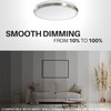 DYMOND LED Ceiling Light Flush Mount 10 Inches Ceiling Light