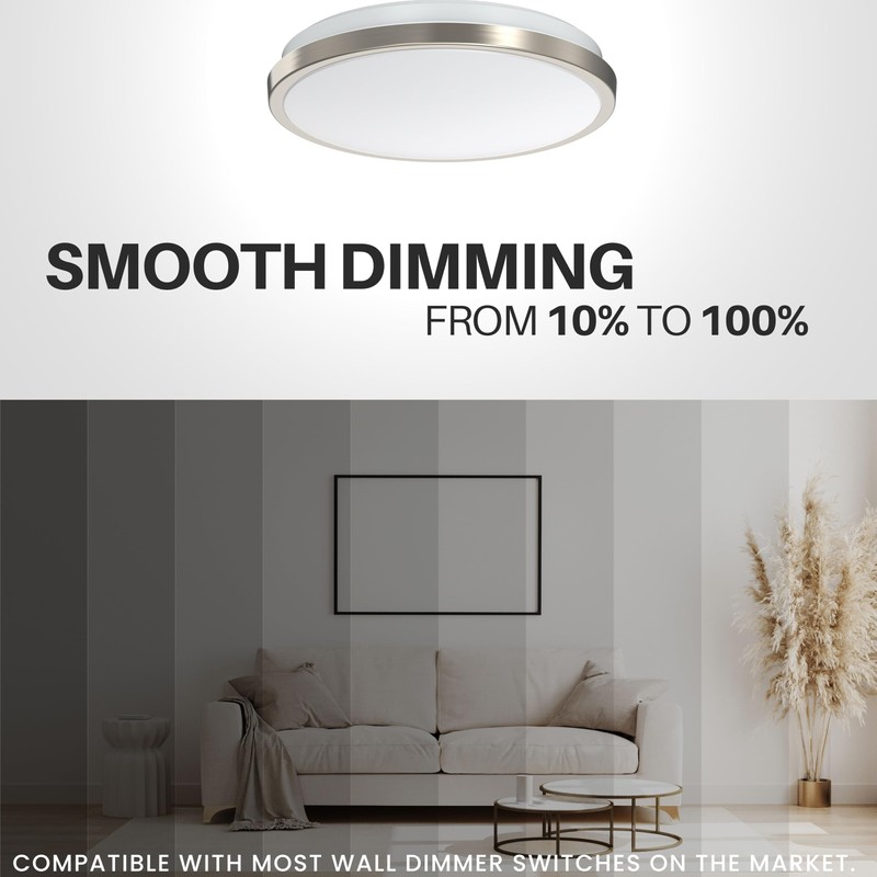 DYMOND LED Ceiling Light Flush Mount 10 Inches Ceiling Light