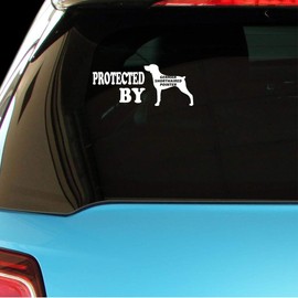 PressFans - Protected by German Shorthaired Pointer Dog Dogs Car Laptop Wall Sticker