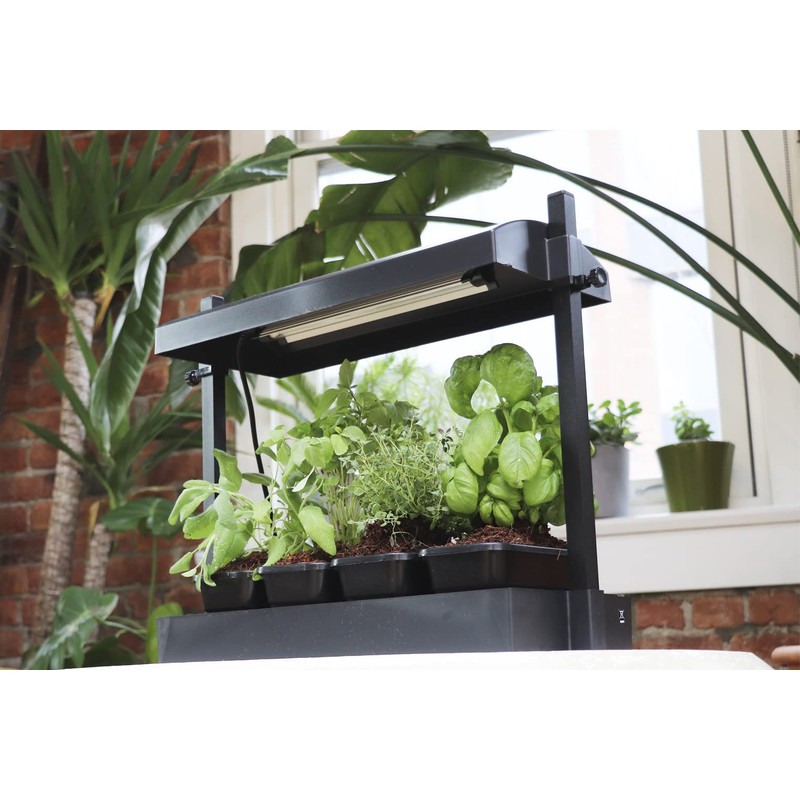 Sunblast T5HO Growlight Microblack