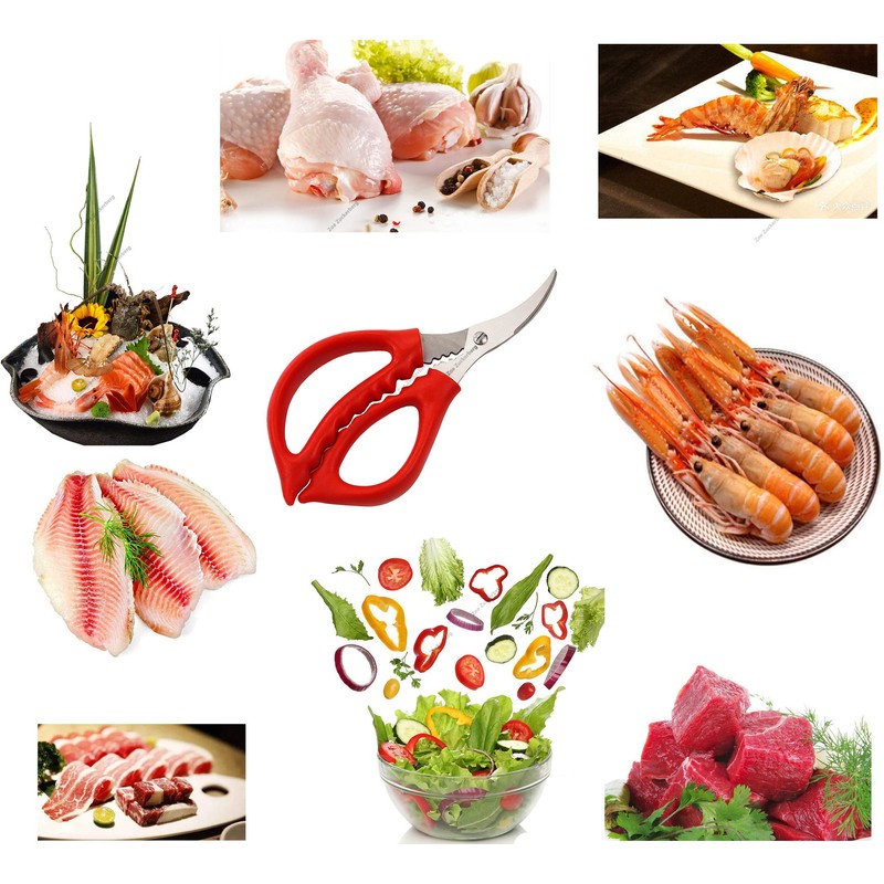Seafood Scissors seafood tools lobster scissors Crab scissors for Home