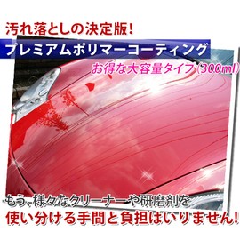 Car Coating (10.1 fl oz (300 ml), Scratch Removal, Gloss Restoration, Water Scalum Removal, Primer Treatment, Premium Polymer