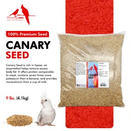 Morning Bird Canary Seed – Nutritional Rich in Vitamins and Supplements for Birds – Ideal for Healthy Feathers and Strong Bones Seed for All Birds Type 9 lbs
