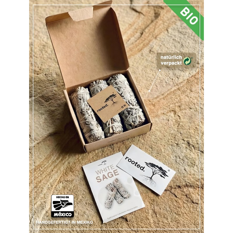 rooted. | The Original | White Sage | 3 Bundles