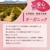 Tea Tsumi-no-Sato Organic Rooibos Tea Bags (0.1 oz (3 g)