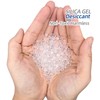 Wisesorb 30 Packs 20 Gram Silica Gel Packets, Dessicant Packs