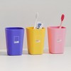 Pantone color cute toothbrushing cup 3color Pantone toothbrushing cup (2 purple) 3ea