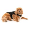 FuzzYard Black Teddy Dog Wrap Vest (2)