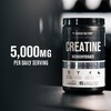 Jacked Factory Creatine Monohydrate 425g + Shaker Bottle Bundle -