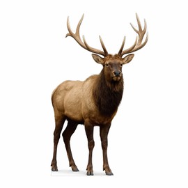 Elk 3FT Life Size Cardboard Cutout – A Fun Animal Standup for Photo Booths, Birthday Parties, and Events