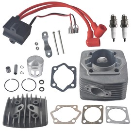LD100 Cylinder Set Ignition-CDI with Two Head-Upgraded CDI for 2 Stroke -Upgraded Head of YD100-Gas 100CC Motorized Bicycle