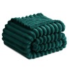 RUIKASI Fleece Throw Blanket for Sofa - Single Fluffy Emerald