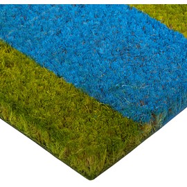 Imports Décor Vinyl Backed Coir Doormat, 48 by 18-Inch, Green Stripes