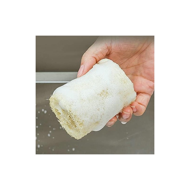 Esponja de Luffa Natural VIGAN (10 Unidades) Exfoliante para Ducha